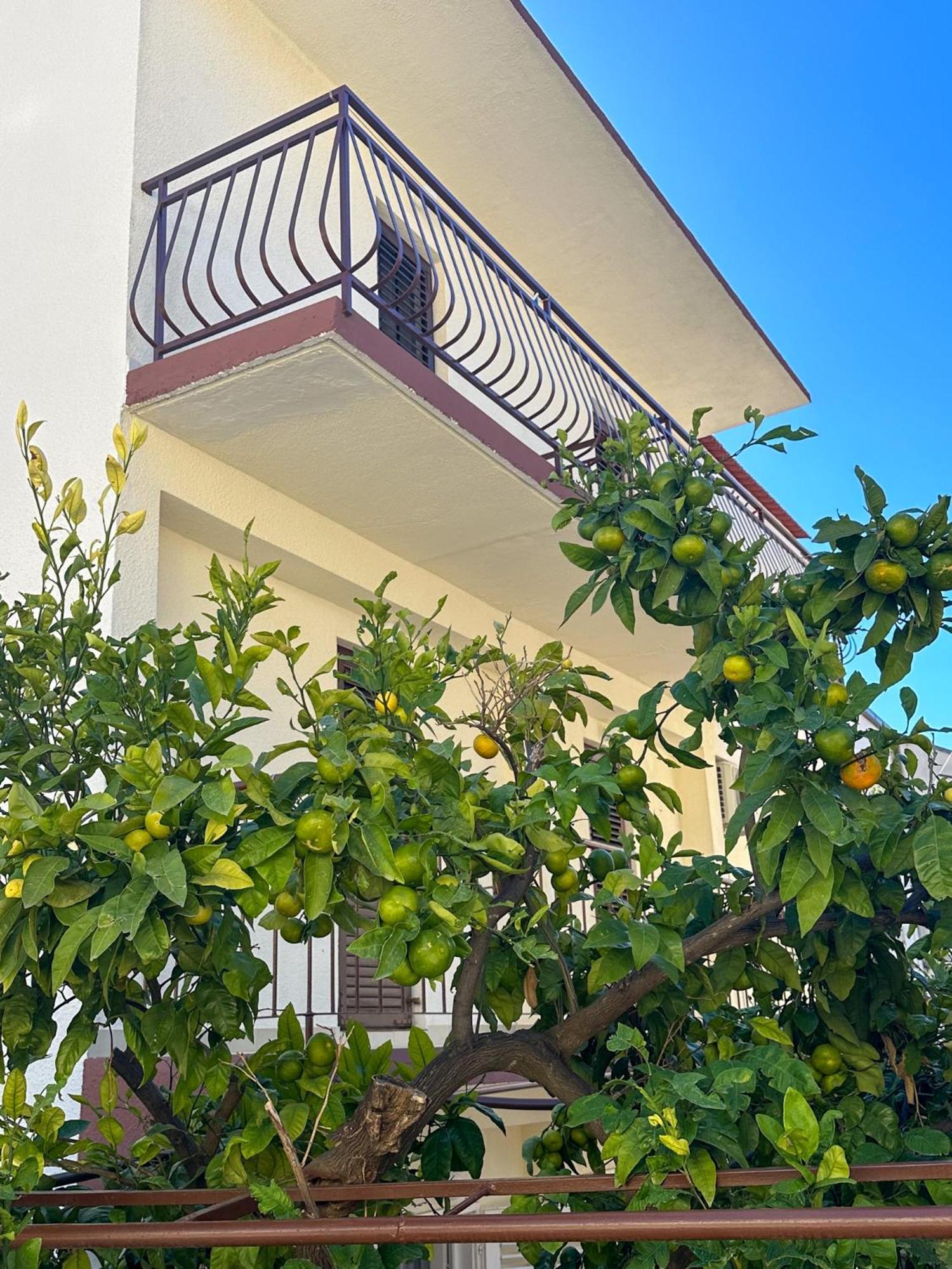 Niko Drvenik (Split-Dalmatia)